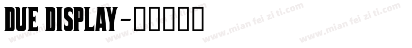 DUE DISPLAY字体转换